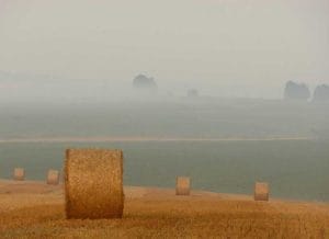 الرياضة كوسيلة لتعزيز التعايش السلمي